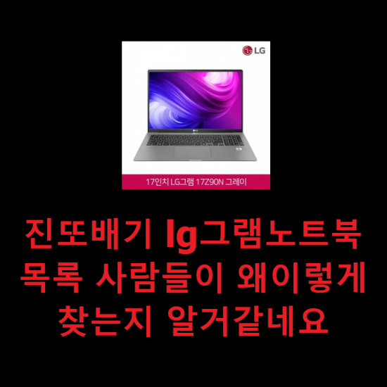  진또배기 lg그램노트북 목록 사람들이 왜이렇게 찾는지 알거같네요