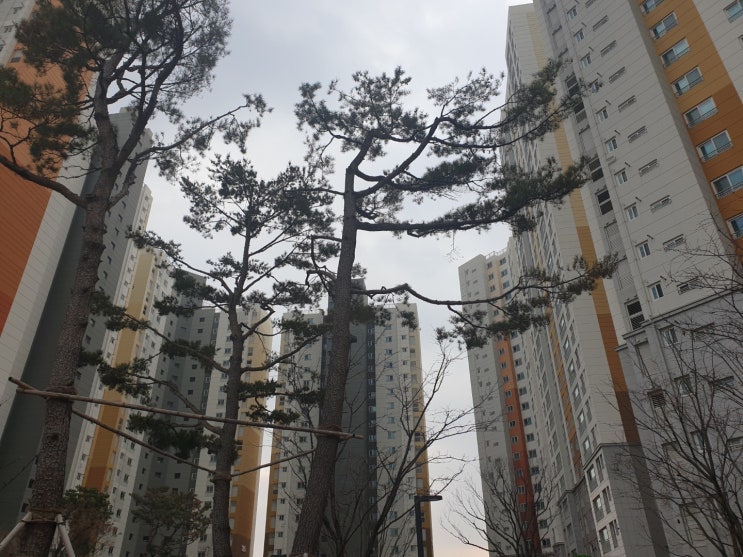  파주, 울산, 창원, 천안, 부산 조정대상지역 추가 예정지역입니다