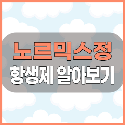 노르믹스정 설사 및 장질환 항생제 복용전 효능 복용방법 부작용 체크하기