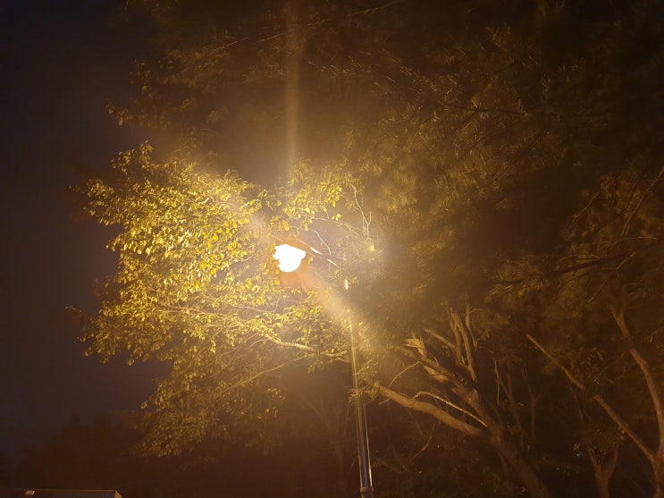  별생각 없이 사는게 더 멀리가요(feat.신사임당)