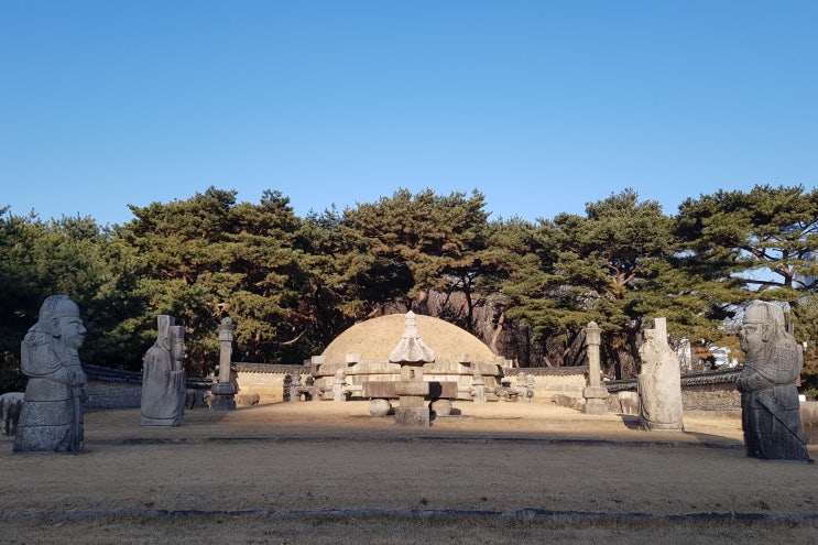 선정릉 경내 조선 제11대 중중대왕 정릉(靖陵) 이야기