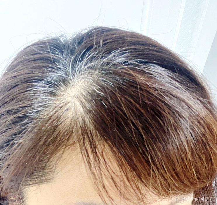  유기농 천연 헤나로 셀프 뿌리 염색하기. 흰머리 뿌염 할수록 윤기나는 머릿결?!