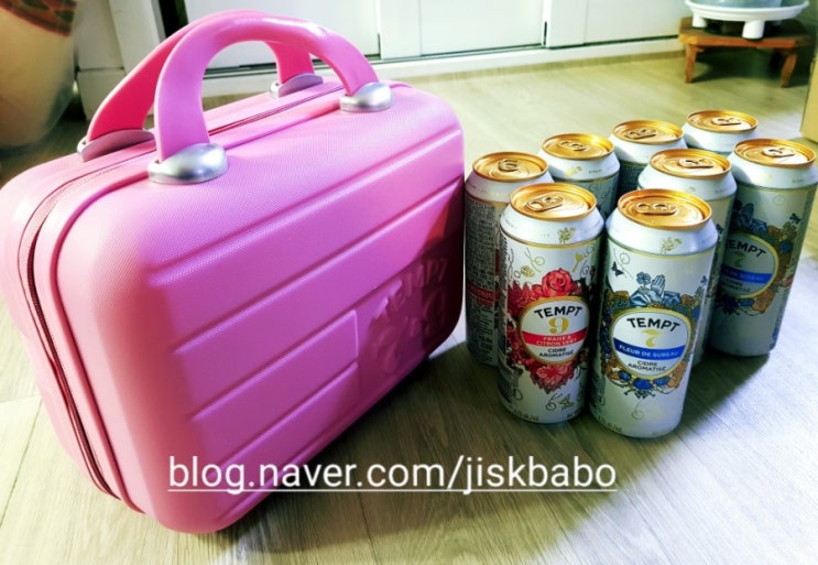  감성 캠핑차박템  템트패키지 템트레디백 겟 해서 왔어요~