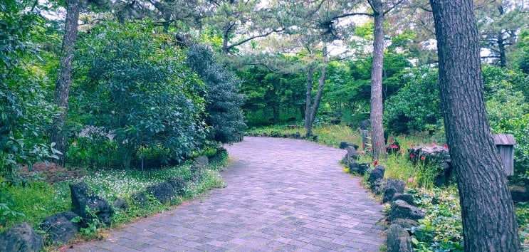  제주 한림공원 동굴구경도 할 수 있어요