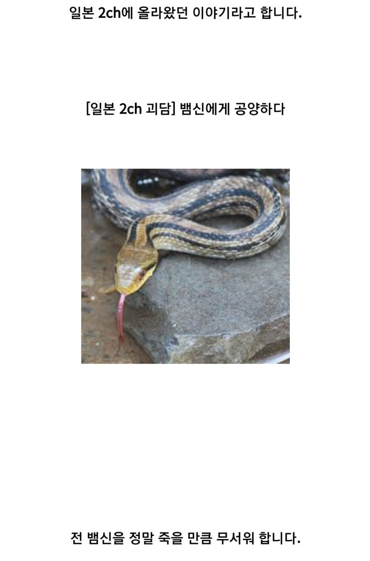  뱀신에게 공양하다 : 2ch 괴담