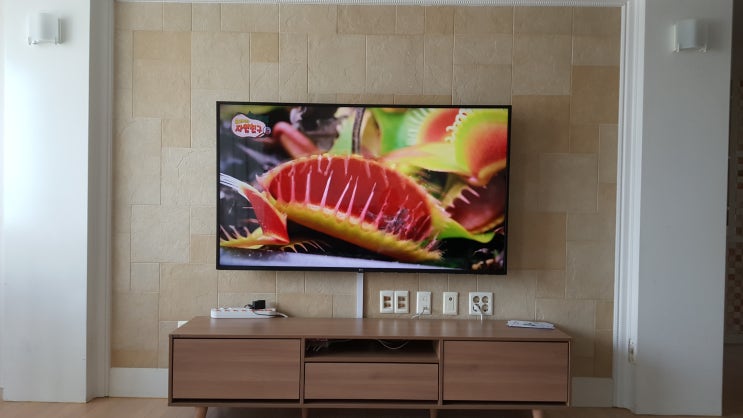  65UN7850KNA LG 65인치 솔직후기