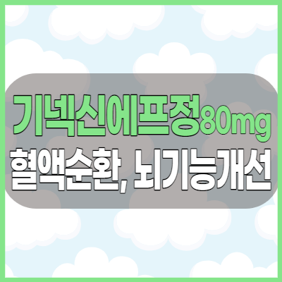 기넥신에프정80mg 혈액순환 및 뇌기능개선제 효과 부작용 및 가격 정보