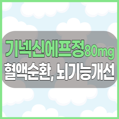 기넥신에프정80mg 혈액순환 및 뇌기능개선제 효과 부작용 및 가격 정보