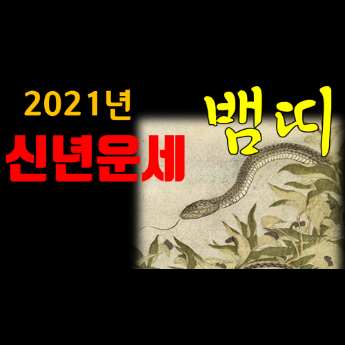  신기로 보는 2021년뱀띠운세(53년생,65년생,77년생,89년생,2001년생,01년생)  성남유명한점집 화선궁
