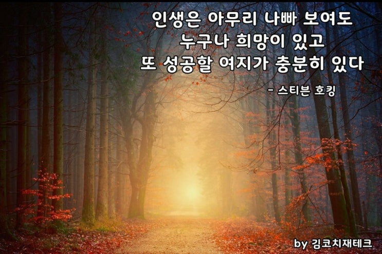  부거사이[부동산 뉴스와 블로그]12월11일(금)
