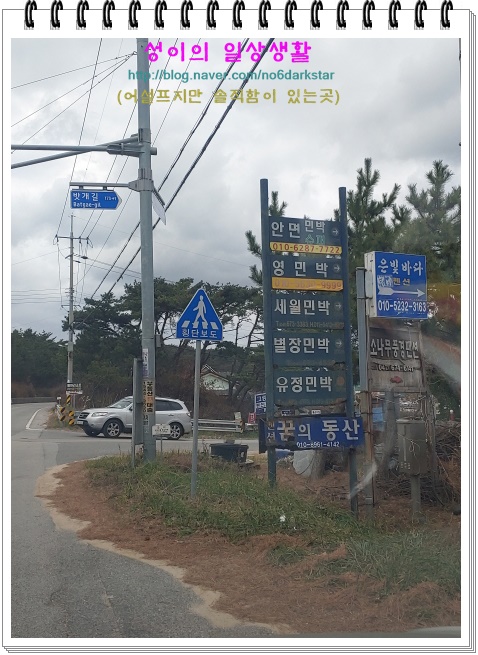  [무료 무제한 바베큐와 스위밍스파편] 태안 안면도 힐마레 펜션 방문 후기