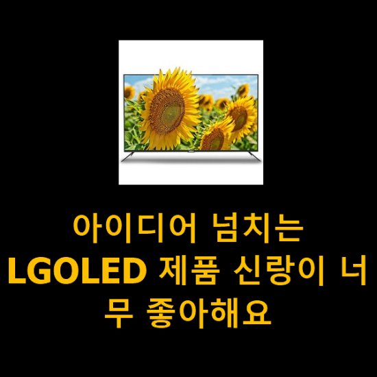 아이디어 넘치는 LGOLED 제품 신랑이 너무 좋아해요