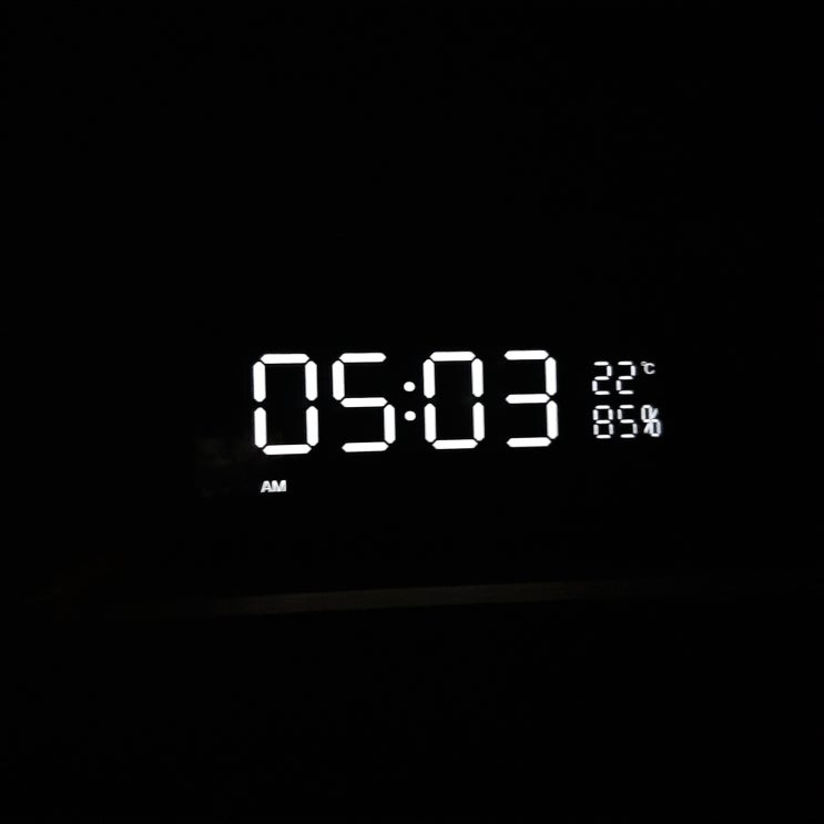  새벽 기상 12-11