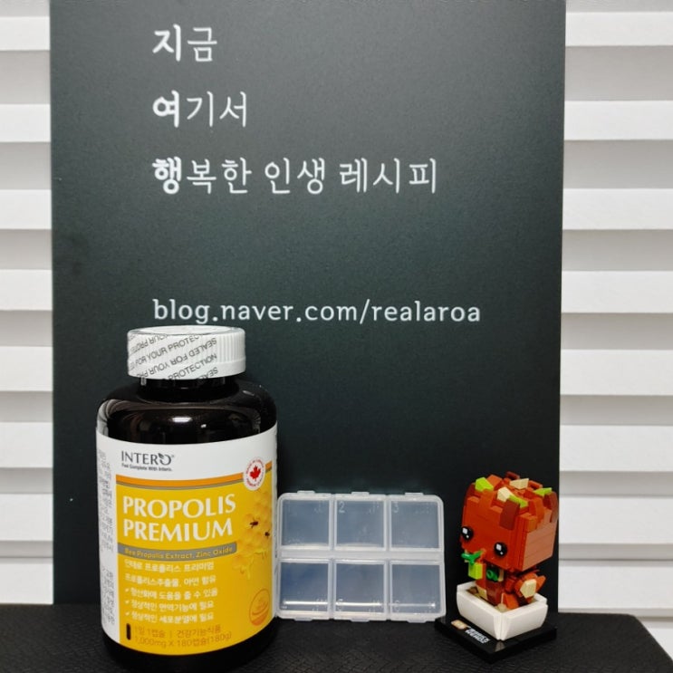  면역력 높이는 방법 - 항산화 작용과 면역력 강화에 도움이 되는 프로폴리스