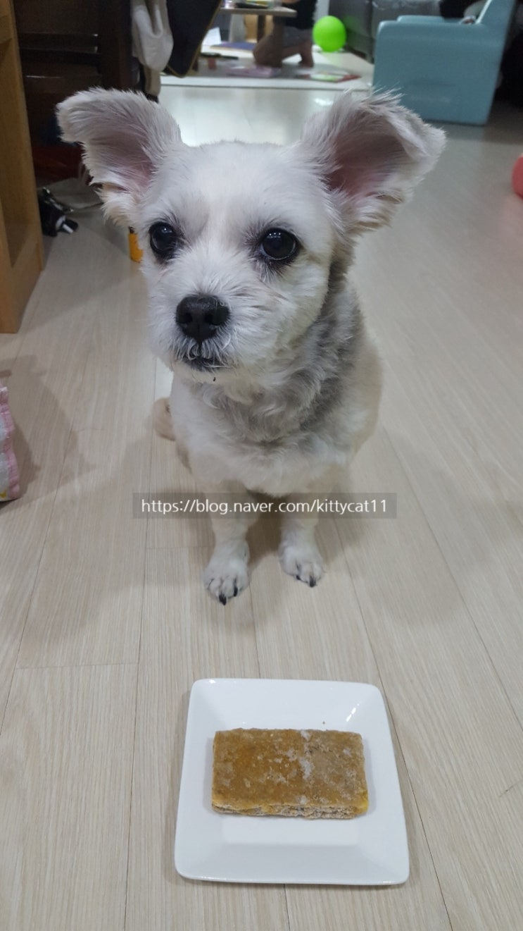  [애견 간식] 듀먼 영양만점 화식 촉촉한 자연식 간식