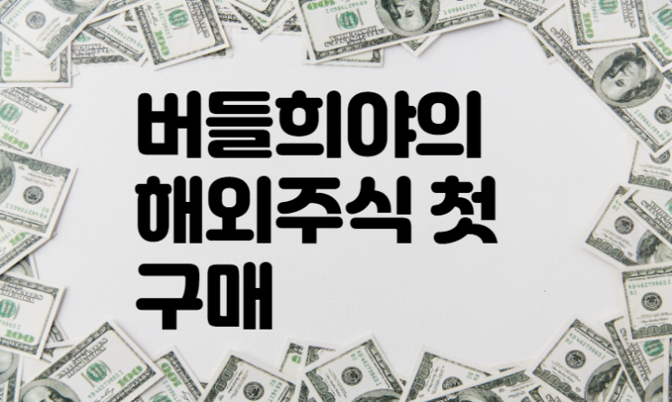  버들희야의 해외주식 첫구매