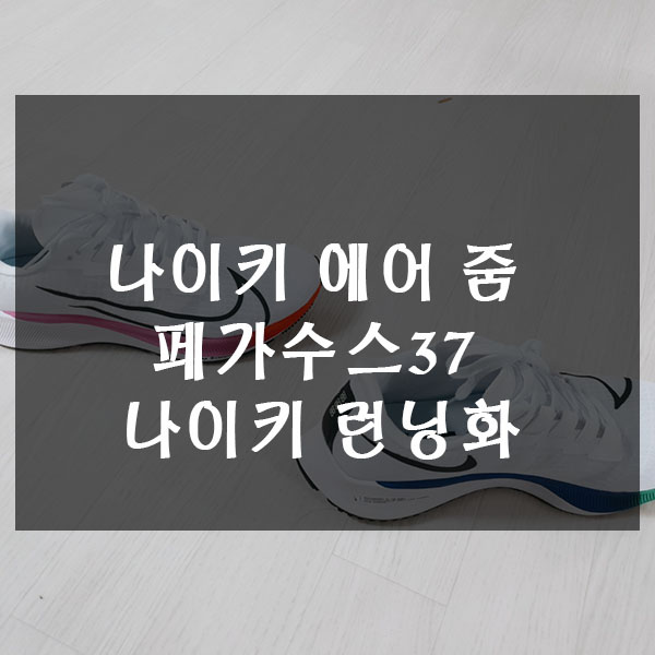  나이키 에어 줌 페가수스 37 런닝화 추천