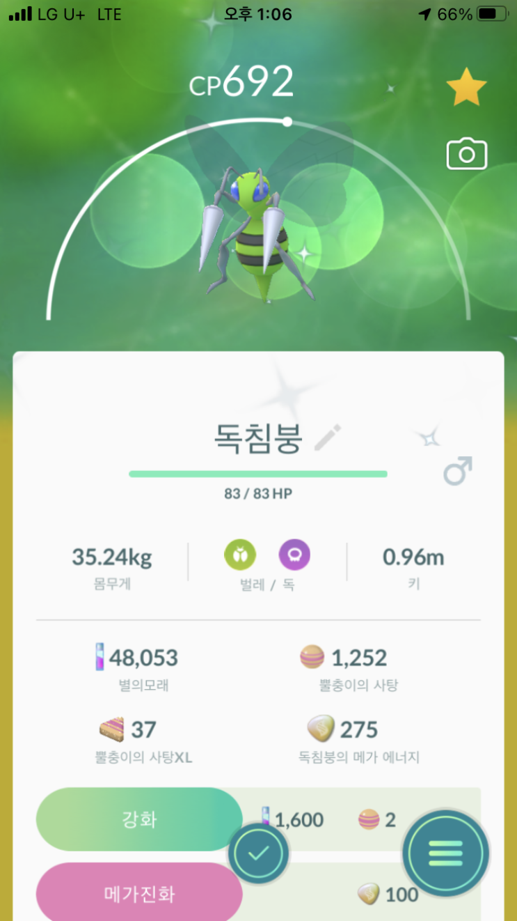  뿔충이 이로치