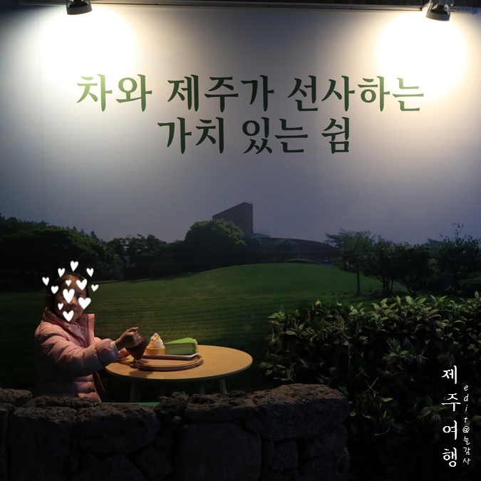  제주도 오설록 여행, 매번 들러도 힐링돼요