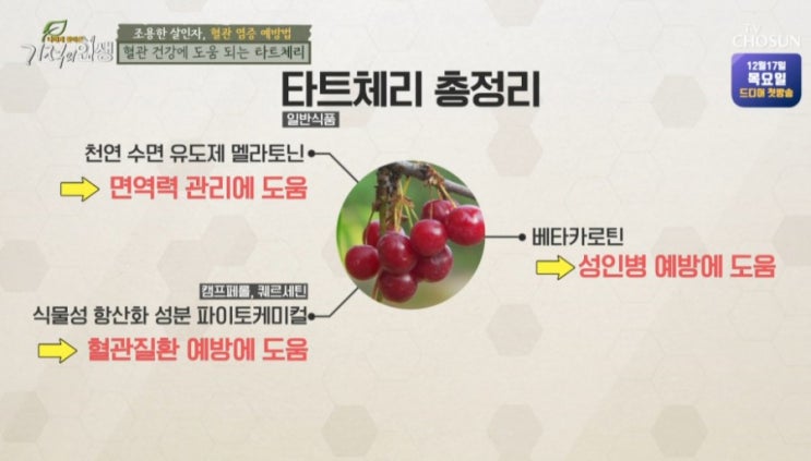  베타카로틴풍부 혈관염증에 좋은 타트체리 타트체리원액