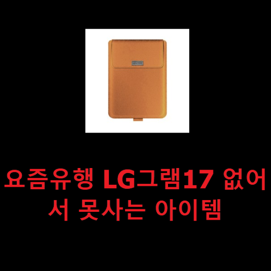 요즘유행 LG그램17 없어서 못사는 아이템