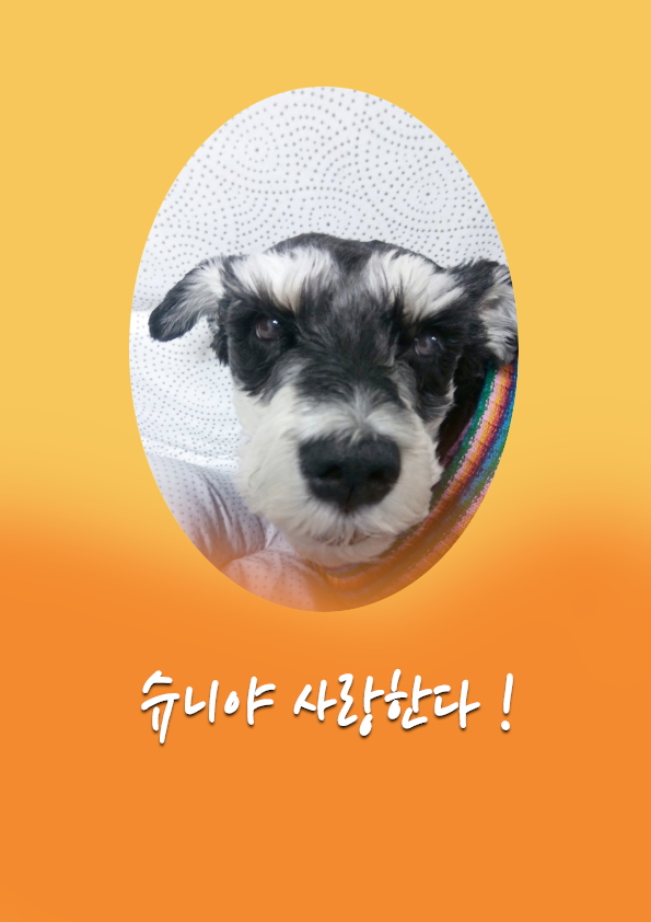  사랑하는 반려견 사진 포토샵 편집 - Marquee Tool, Level, Brush 