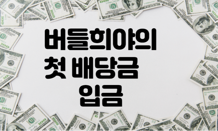  버들희야의 첫 배당금 입금