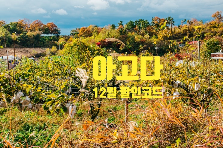 아고다 12월 할인코드 중복 할인으로 더욱 저렴하게 호텔 예약 아고다 12월 할인코드 중복 할인으로 더욱 저렴하게 호텔 예약