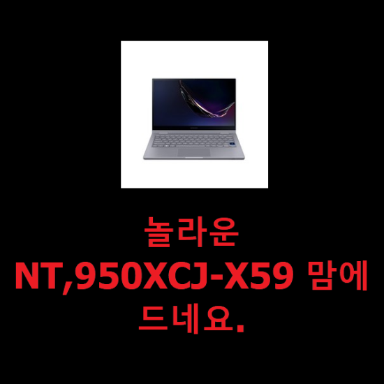 놀라운 NT,950XCJ-X59 맘에드네요.