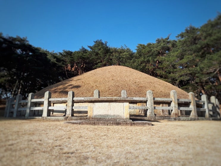  [경주 여행] 신라역사 문화 명소 원성왕릉과 석상