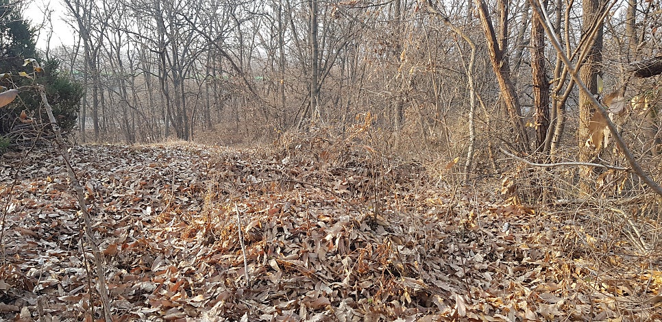 중뫼산 사진 3
