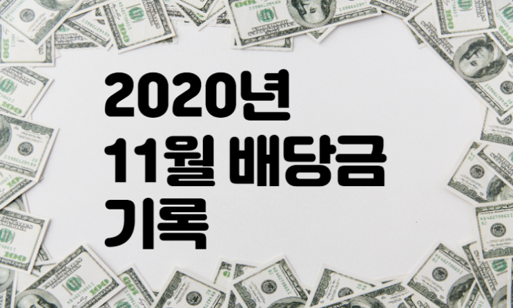  2020년 11월 배당금 기록