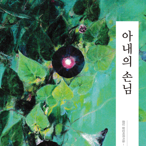  그들의 삶, 우리의 일상_ 아내의 손님, 룹탑의 불법체류자들