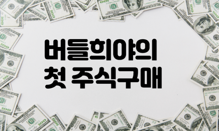  버들희야의 첫 주식 구매