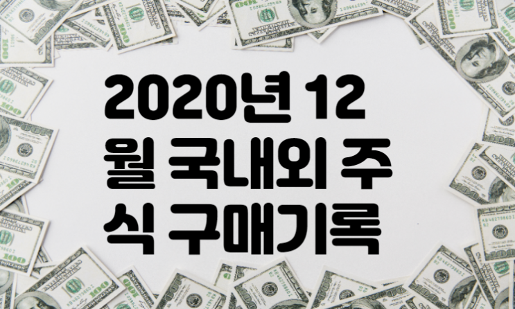  2020년 12월 국내,해외 주식 구매기록