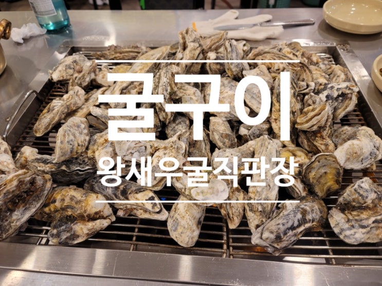  일곡동 맛집 굴구이 굴찜 왕새우