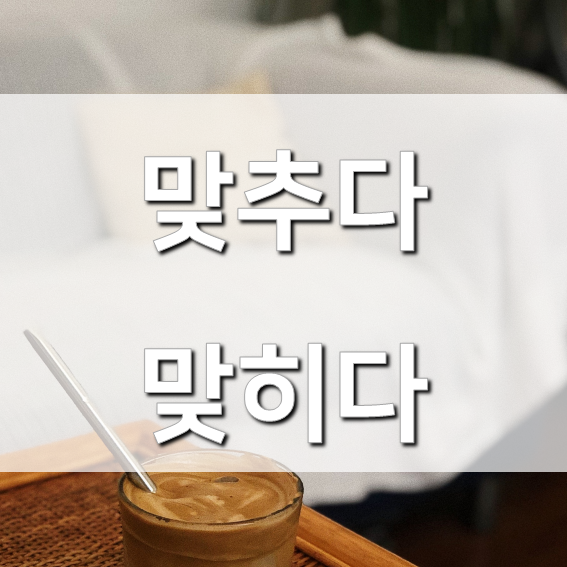  맞추다 맞히다, 정답을 맞추다 비위 맞추다?