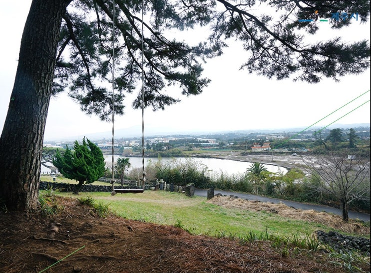  제주 올레 16코스 수산봉, 수산저수지, 곰솔 랜선여행 ^~^