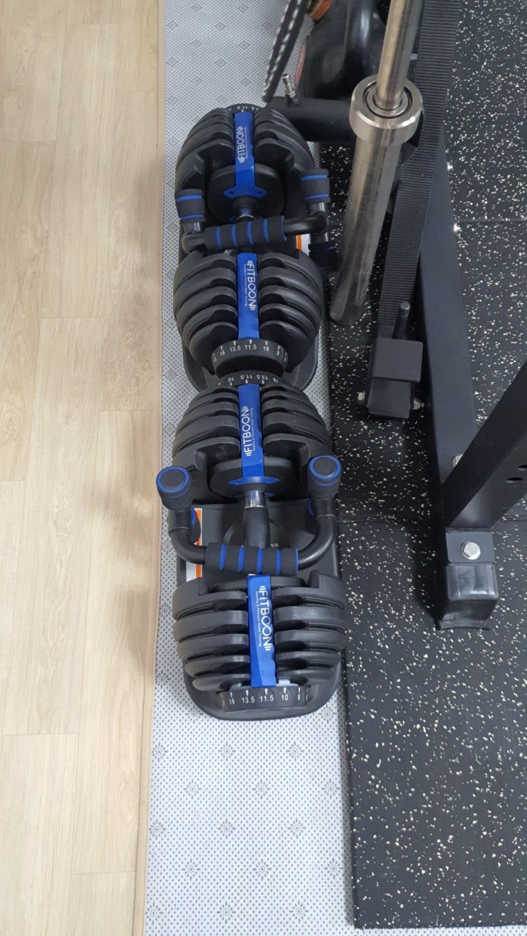 홈짐 무게조절 덤벨 전격리뷰