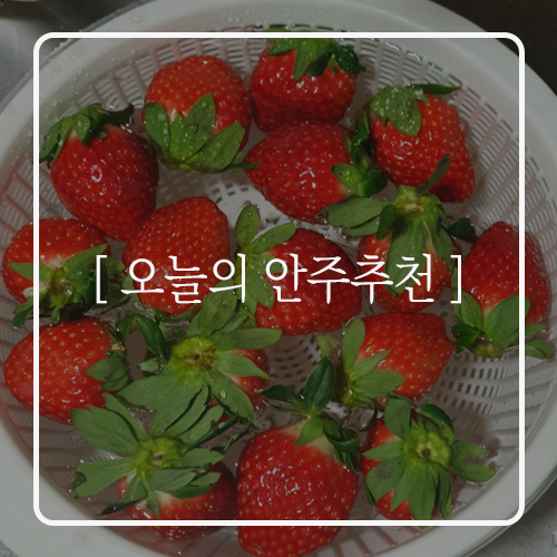 [오늘의 안주추천] 믿고먹는 신선회&겨울제철과일(딸기)