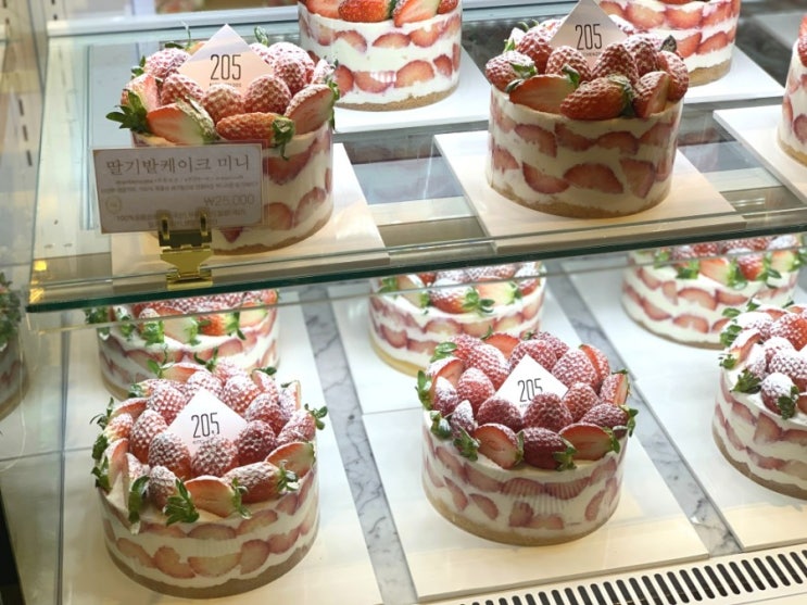 잠실 롯데월드몰 키친205 크리스마스 케이크는 딸기케이크 너로 정했다!