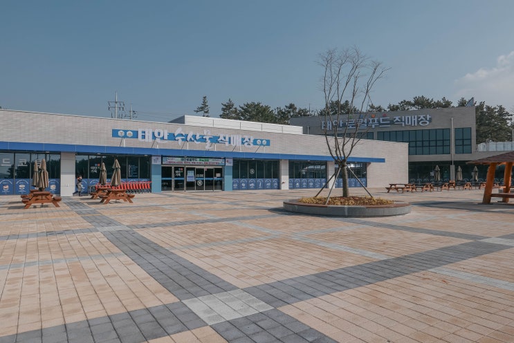  충남/태안 로컬푸드 직매장 안면도 장볼땐 여기로!!