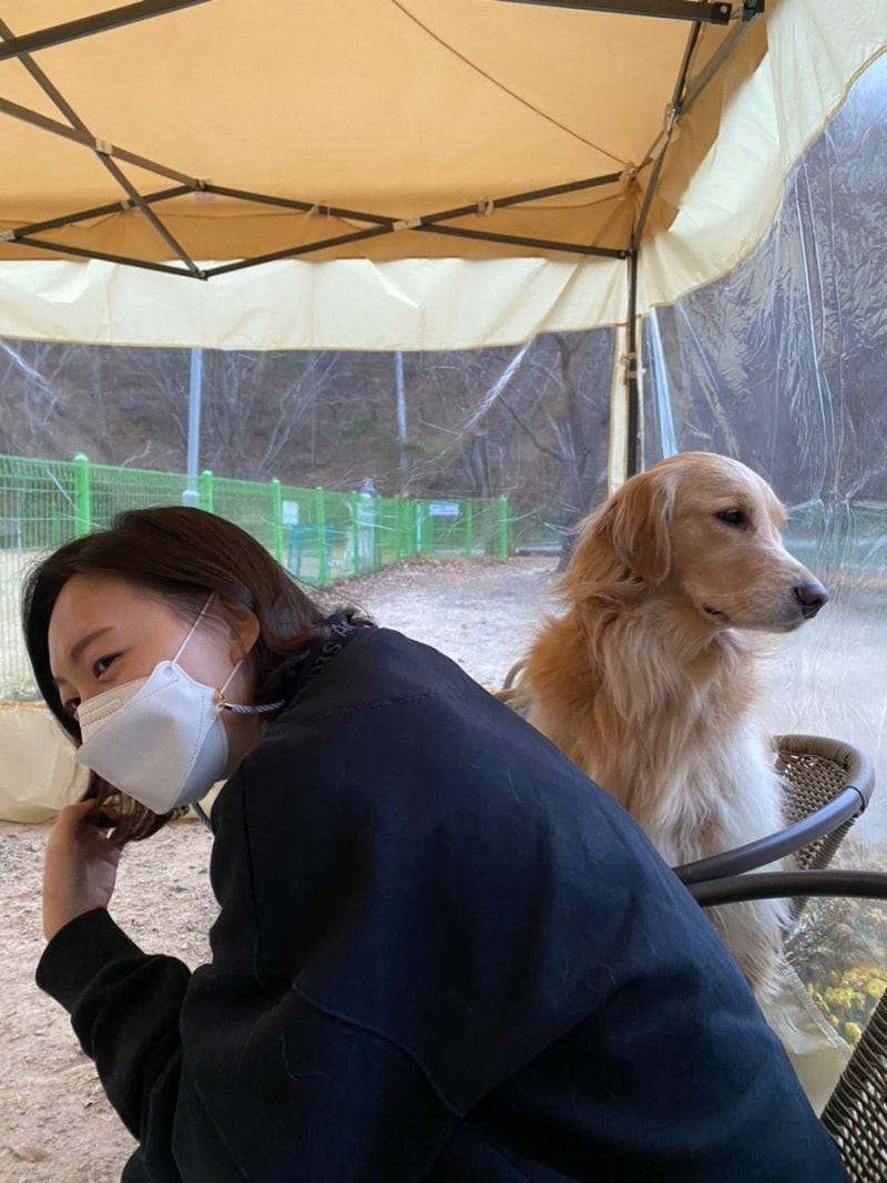 무스, 무디 그리고 소보로와 함께 울산 애견 운동장 “빠스통포레” 다녀온 후기. :) : 네이버 블로그, image size:800x1067