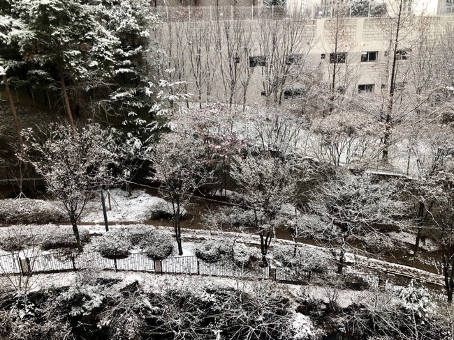 [소소하루] 눈 오는 오늘도 마켓