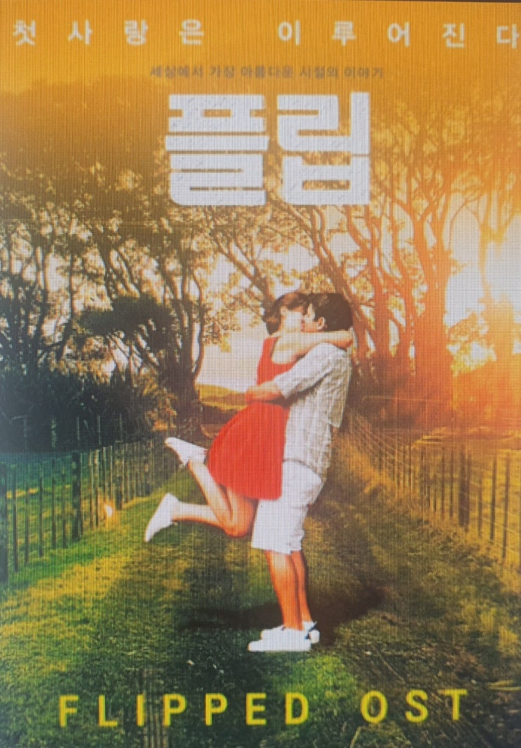 [넷플릭스]영화추천 #플립#Flip #로맨스 영화 / 소년, 소녀가 서로 성장하며 사랑하게 되는 이야기!!