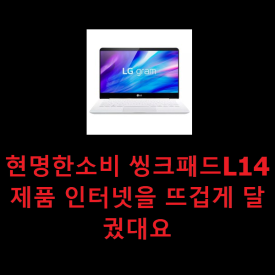 현명한소비 씽크패드L14 제품 인터넷을 뜨겁게 달궜대요 현명한소비 씽크패드L14 제품 인터넷을 뜨겁게 달궜대요