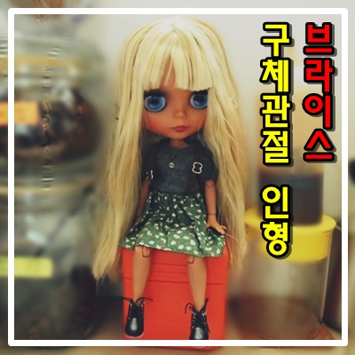 브라이스 구체관절 인형 왔어요. ICY DBS Blythe Doll