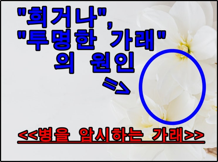  가래로 보는 내 몸 상태, 폐암을 말하다!