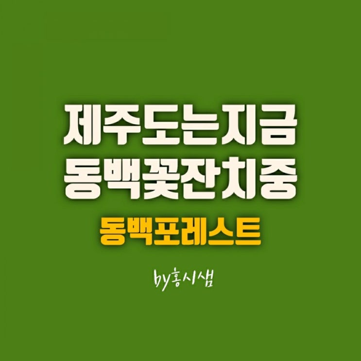  지금 제주는 동백꽃 천지 제주 동백 포레스트