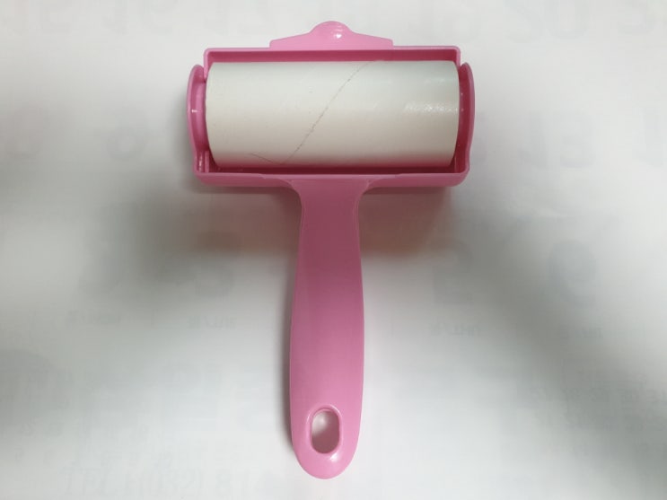  롤크리너를 이용한 집 청소하기!